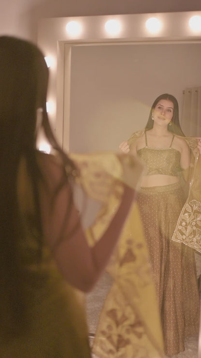 Elara Embroidered Cape Lehenga